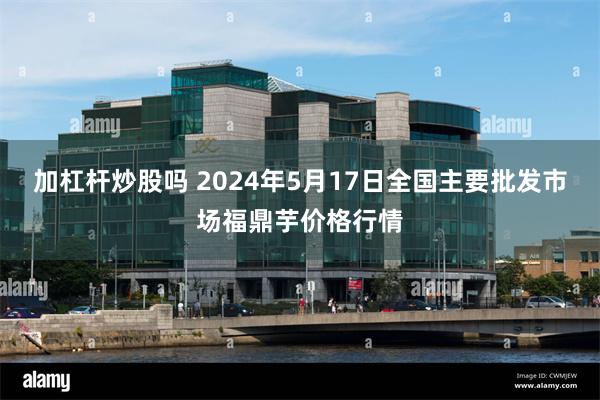 加杠杆炒股吗 2024年5月17日全国主要批发市场福鼎芋价格行情