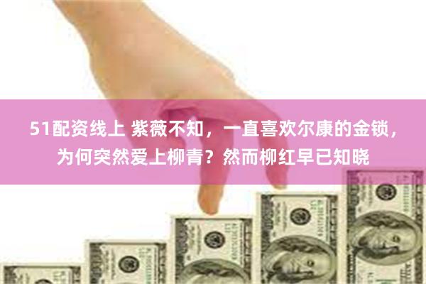 51配资线上 紫薇不知，一直喜欢尔康的金锁，为何突然爱上柳青？然而柳红早已知晓