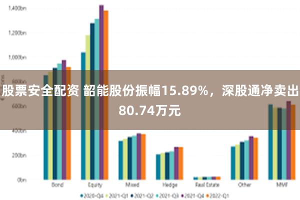 股票安全配资 韶能股份振幅15.89%，深股通净卖出80.74万元