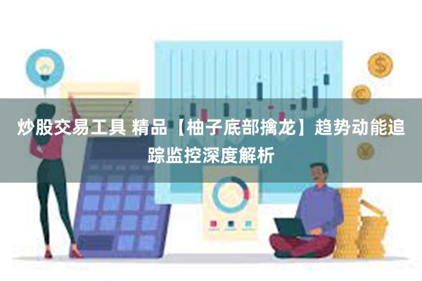 炒股交易工具 精品【柚子底部擒龙】趋势动能追踪监控深度解析