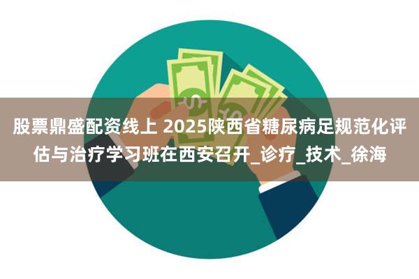 股票鼎盛配资线上 2025陕西省糖尿病足规范化评估与治疗学习班在西安召开_诊疗_技术_徐海