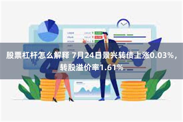 股票杠杆怎么解释 7月24日景兴转债上涨0.03%，转股溢价率1.61%