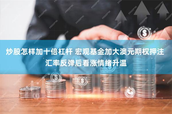 炒股怎样加十倍杠杆 宏观基金加大澳元期权押注 汇率反弹后看涨情绪升温